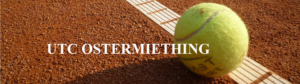Read more about the article Vereinsmeisterschaft 2024 – Zeitraum und Finaltage